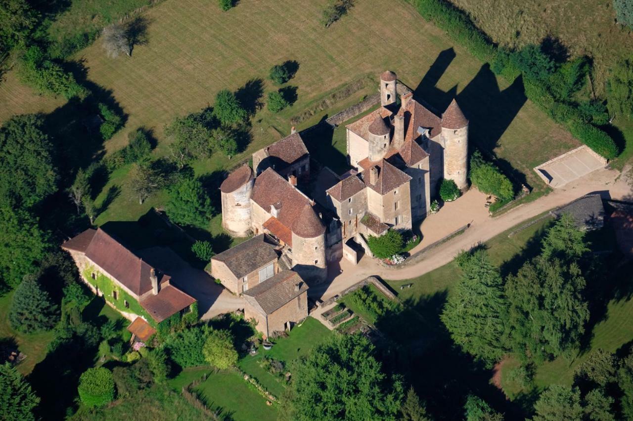 Chateau De Balleure Etrigny Exterior photo